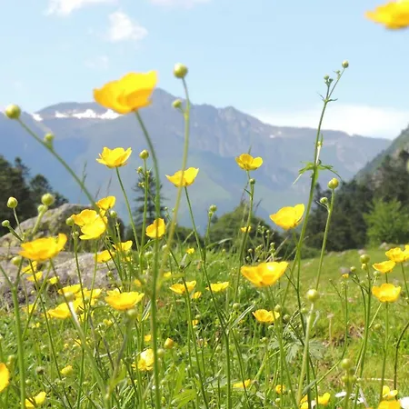 Lumineux 4-6 Pers A - Fr-1-234-339 * Cauterets