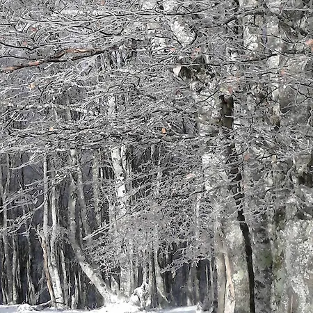 Lumineux 4-6 Pers A - Fr-1-234-339 Apartament