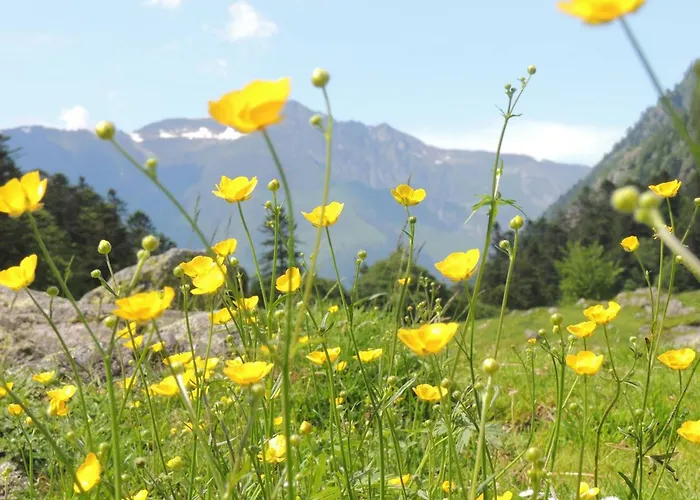 Lumineux 4-6 Pers A - Fr-1-234-339 * Cauterets